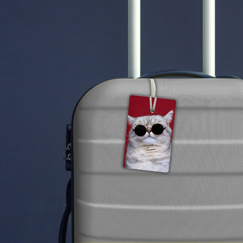 Cat with sunglasses