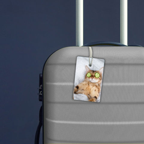 Funny cat
