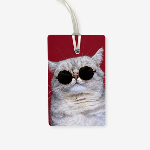 Cat with sunglasses